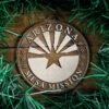 LDS Arizona Mesa Mission Christmas Ornament surrounded by a Simple Reef