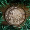 LDS Mexico Cuernavaca Mission Christmas Ornament surrounded by a Simple Reef