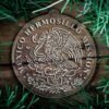 LDS Mexico Hermosillo Mission Christmas Ornament surrounded by a Simple Reef