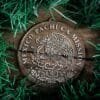 LDS Mexico Pachuca Mission Christmas Ornament surrounded by a Simple Reef