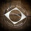 LDS Brazil Manaus North Mission Christmas Ornament laying on a Wooden Background